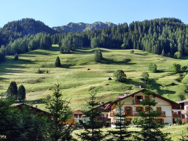 rimg2114.jpg