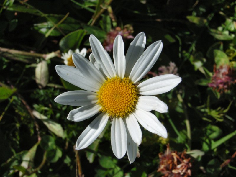rimg2381.jpg