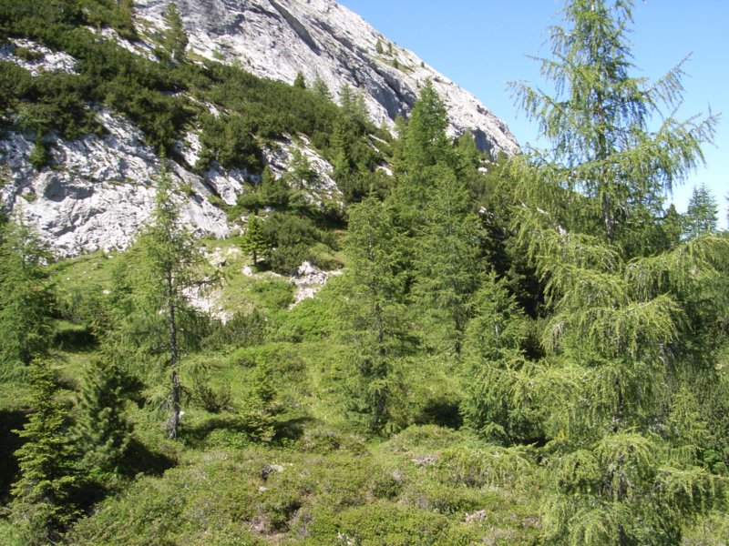 rimg2273.jpg