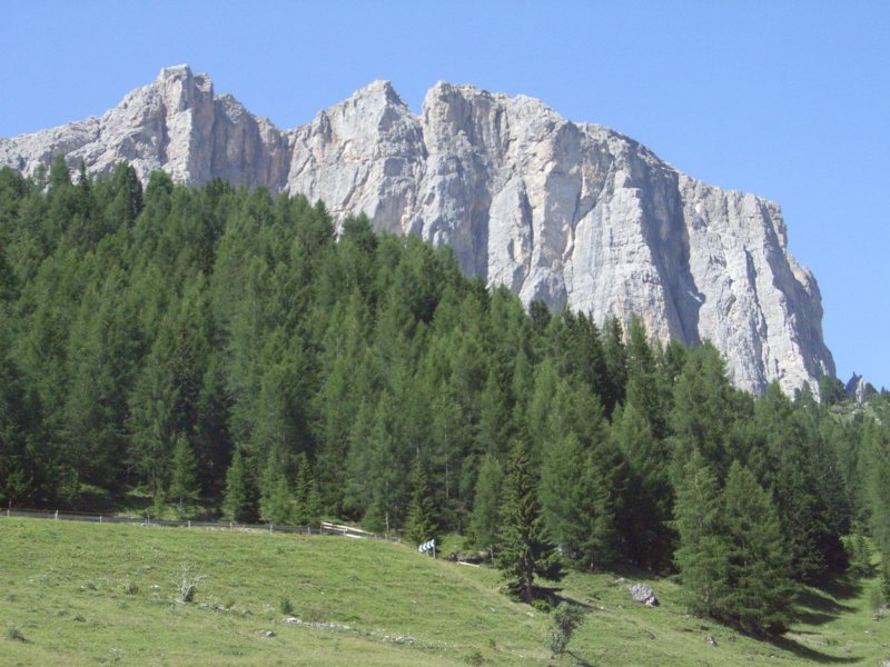 rimg2342.jpg