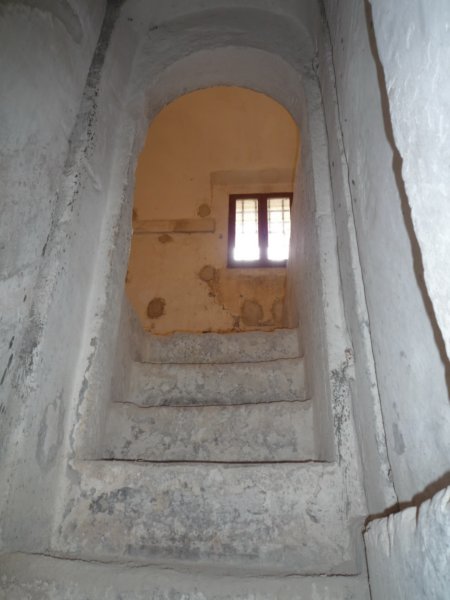 p1010817.jpg
