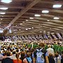 Si svolge presso la Basilica di San Pio X con migliaia di fedeli, molti giovani