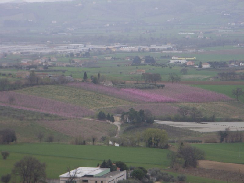 rimg0526.jpg