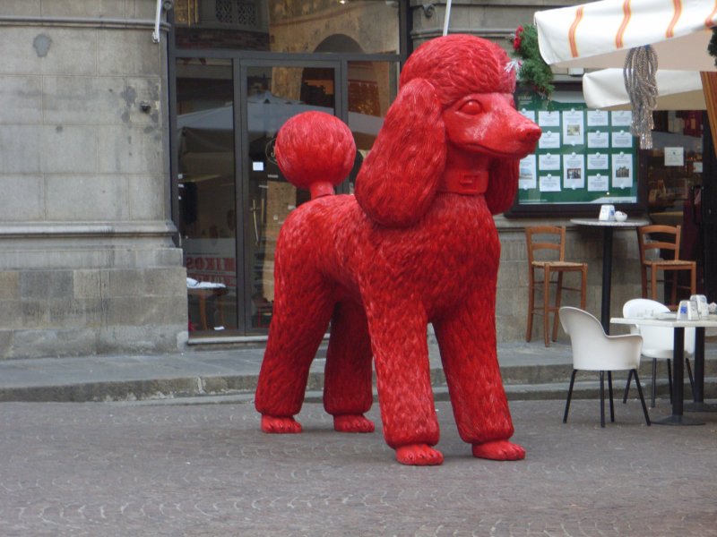 rimg0058.jpg