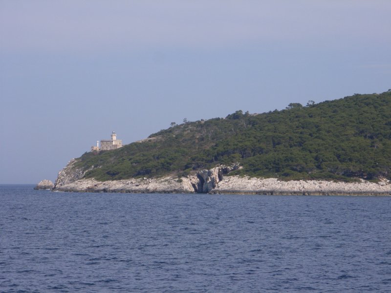 rimg1050.jpg