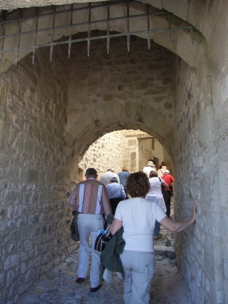 rimg1156.jpg