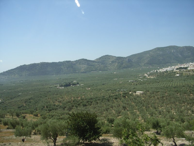 rimg1233.jpg