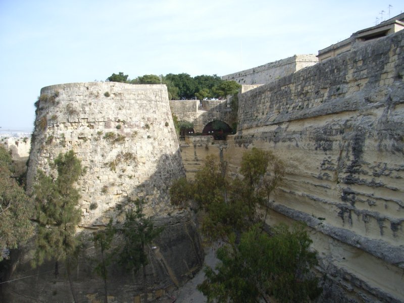 rimg0718.jpg