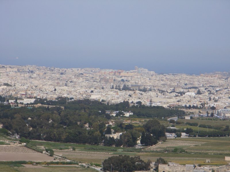 rimg0819.jpg