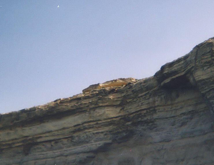 s02.jpg
