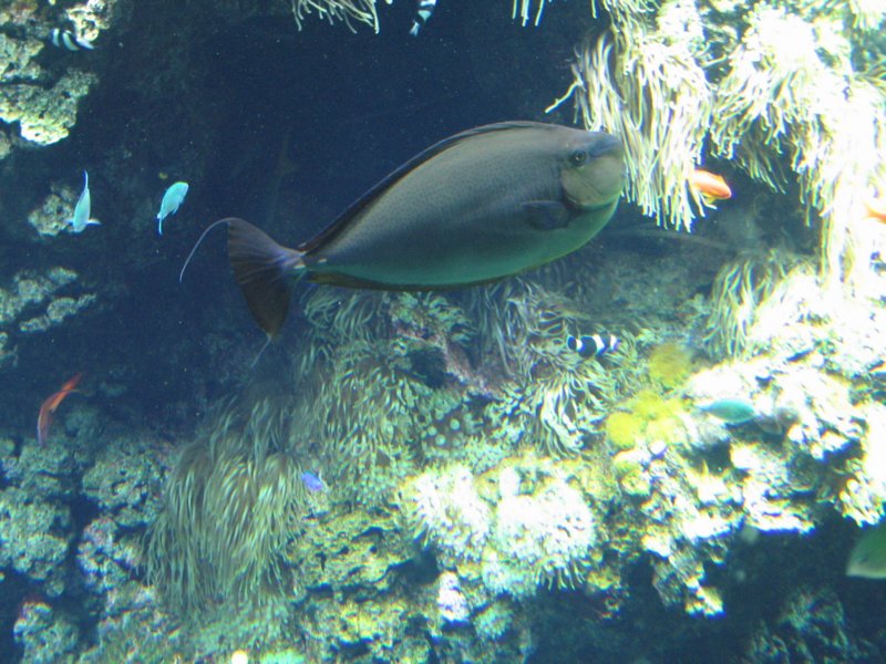img_2802.jpg