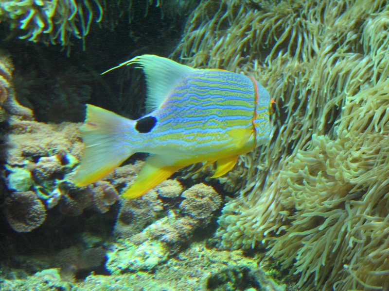 img_2841.jpg