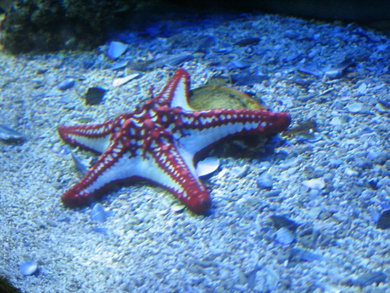 img_2864.jpg