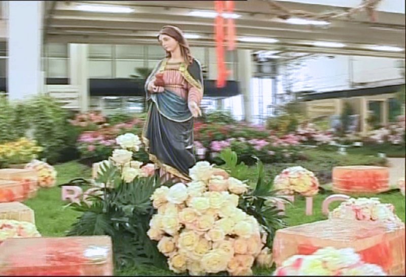 rosamistica0.jpg