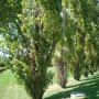 La splendida natura della Riserva Naturale di Abbadia di Fiastra